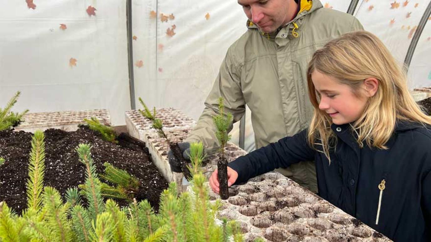 Girl working with a tray of seedlings in the Green Legacy Nursery