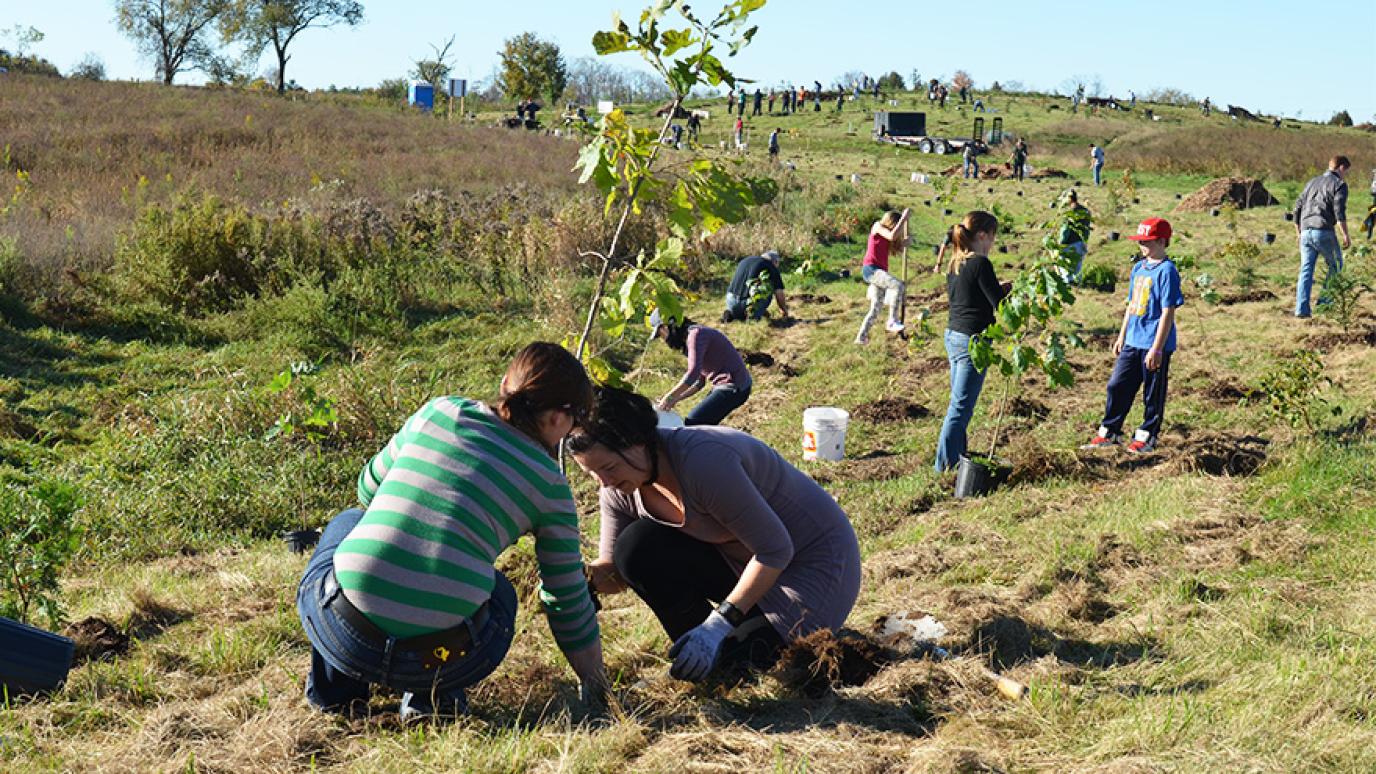 Photograph of two individuals planting a tree in a large field during a tree planting event. 