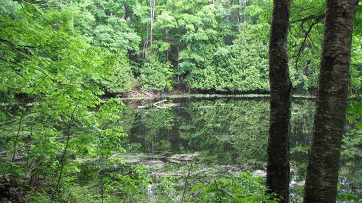 Esker (Kettle) pond is visited by wildlife