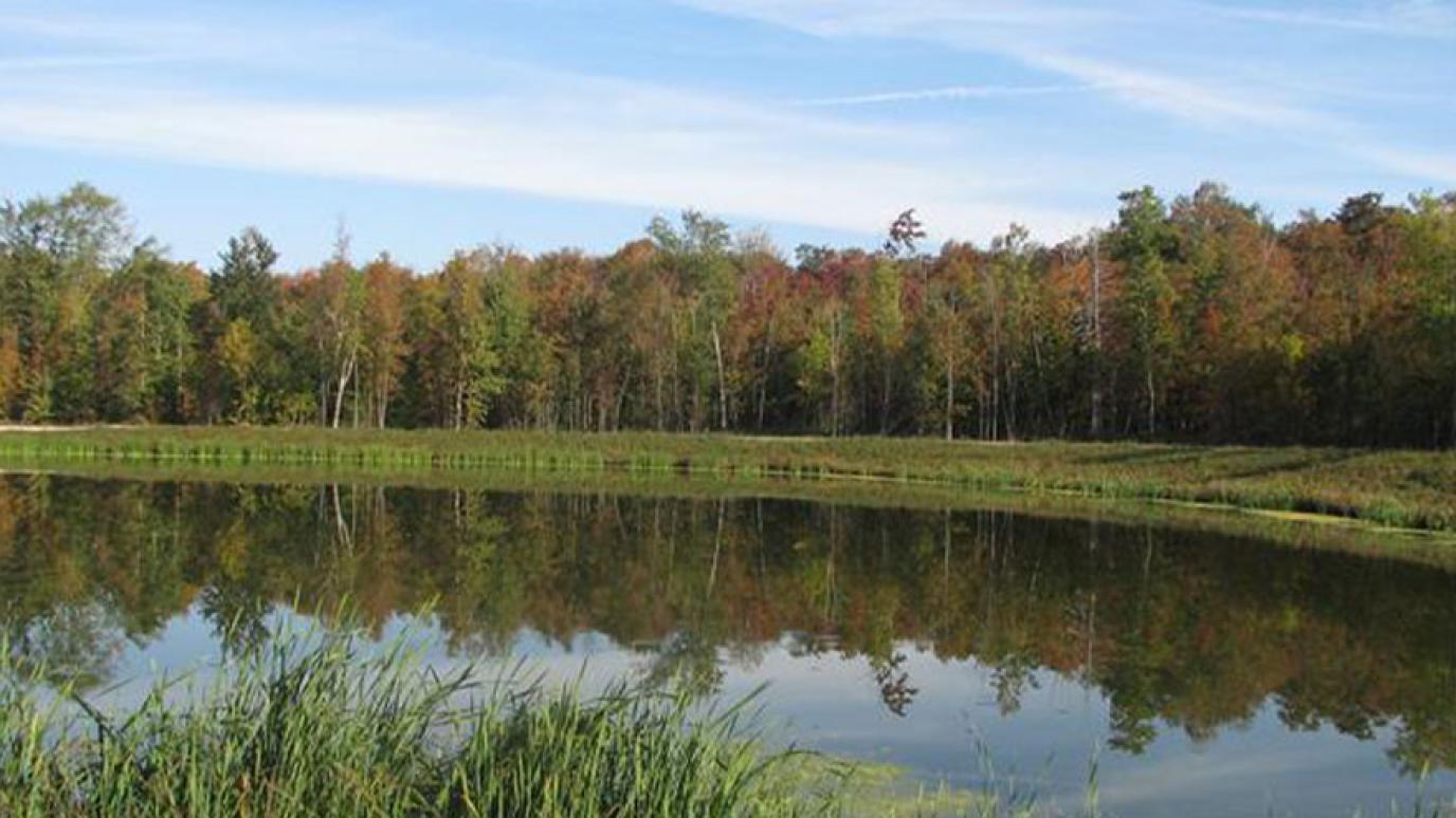 Pond at Harriston Waste Facility