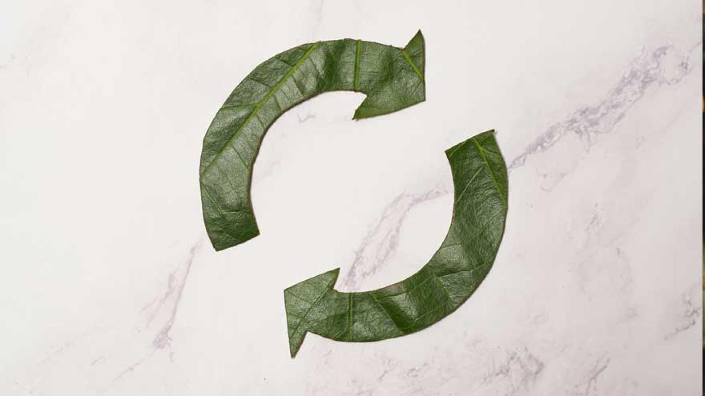 Circular economy concept. Infinity recycling symbol made of leaves
