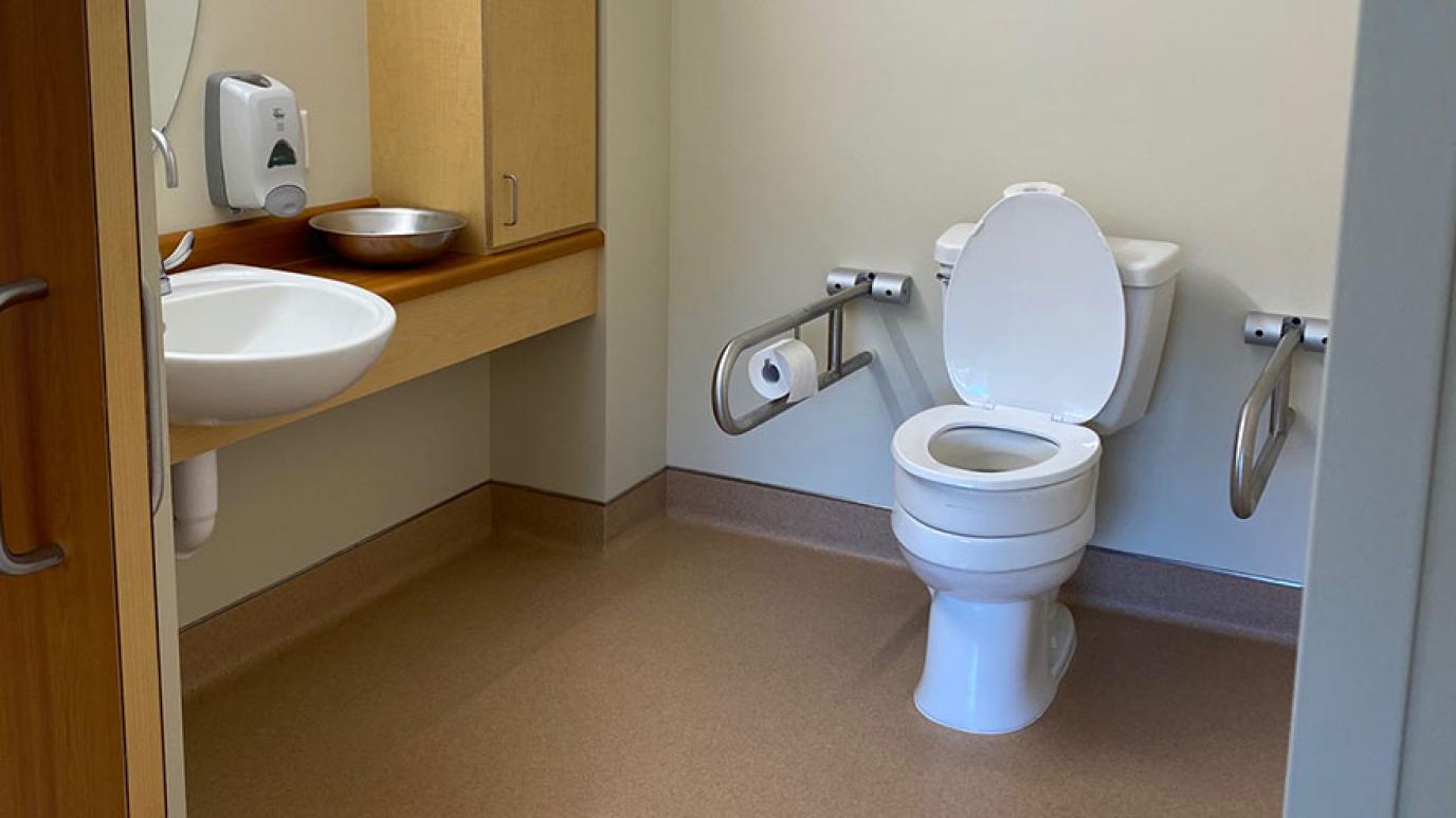 Accessible washroom showing toilet, sink and vanity
