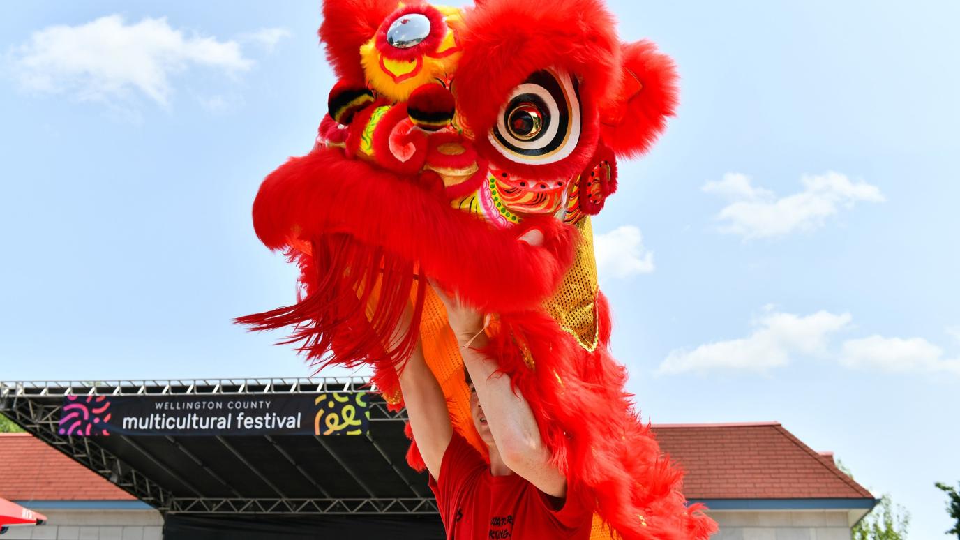 A vivid red and gold Chinese lion dance costume is held high by a performer