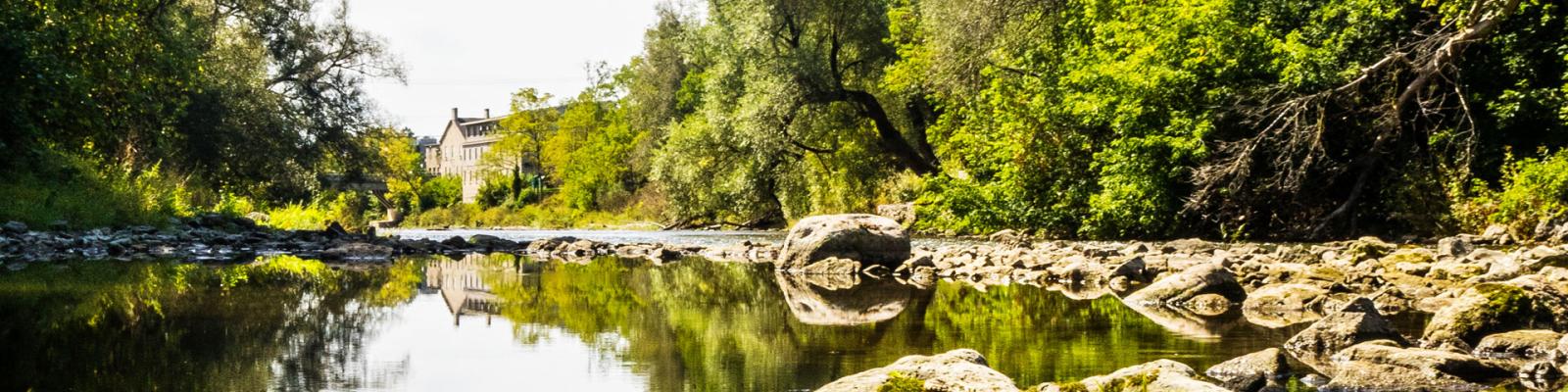 Standing in the gently flowing Grand River amongst the rocks and green trees looking upstream