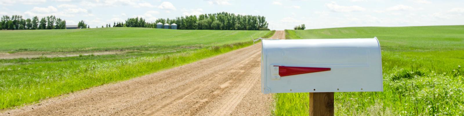 A white country and rural mailbox with the flag raised and copy space on the mailbox. In the background an imerging grain crop and country gravel road.