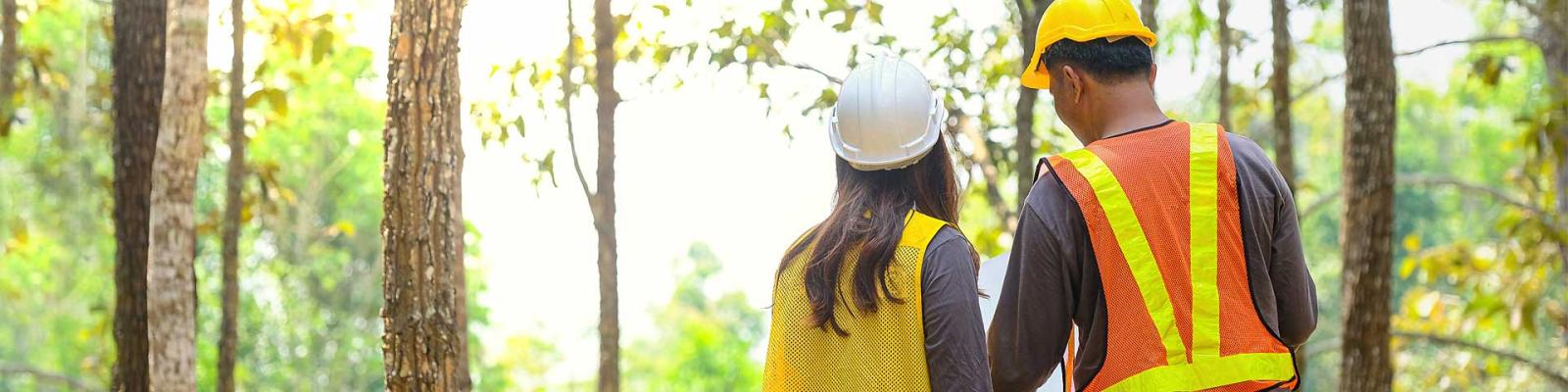 Man and woman from behind wearing hard hats and safety vests reviewing plans standing at edge of a forest