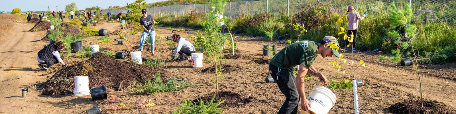 Staff members planting trees in a large field at the annual Wardens Tree Planting event