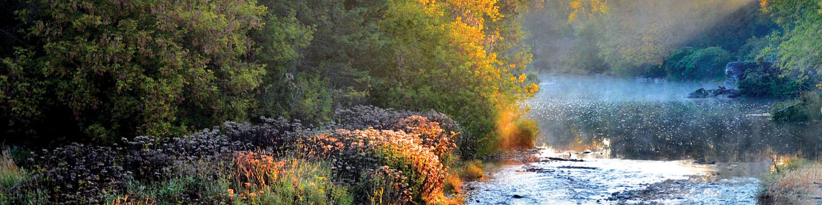 Flowing, sun touched, sparkly river in early Fall as leaves start to change