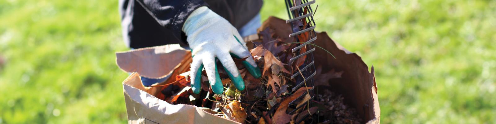 Person wearing gardening gloves filling up a paper bag with leaf waste