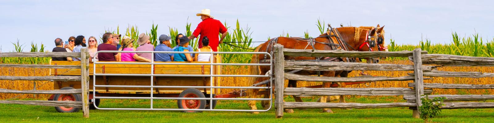 Group of people sitting in a large horse drawn wagon getting a tour through a farm