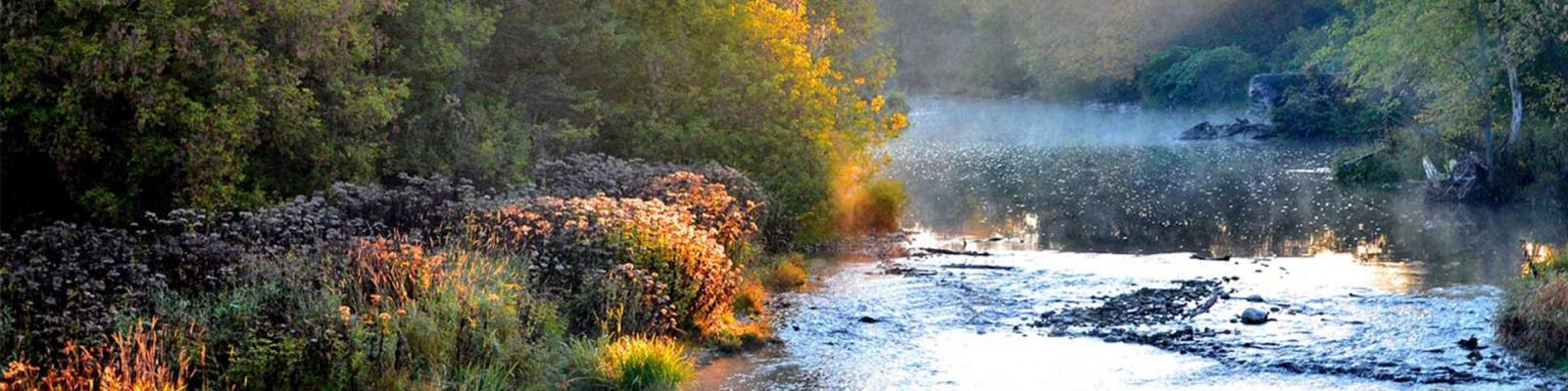 A flowing river surrounded by green foliage and trees, with a beaming ray of sunshine lighting up the riverbank.