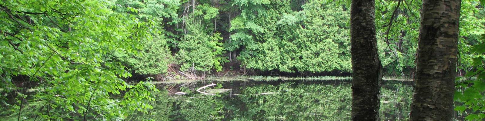 Kettle pond at Riverstown Waste Facility surrounded by green forest