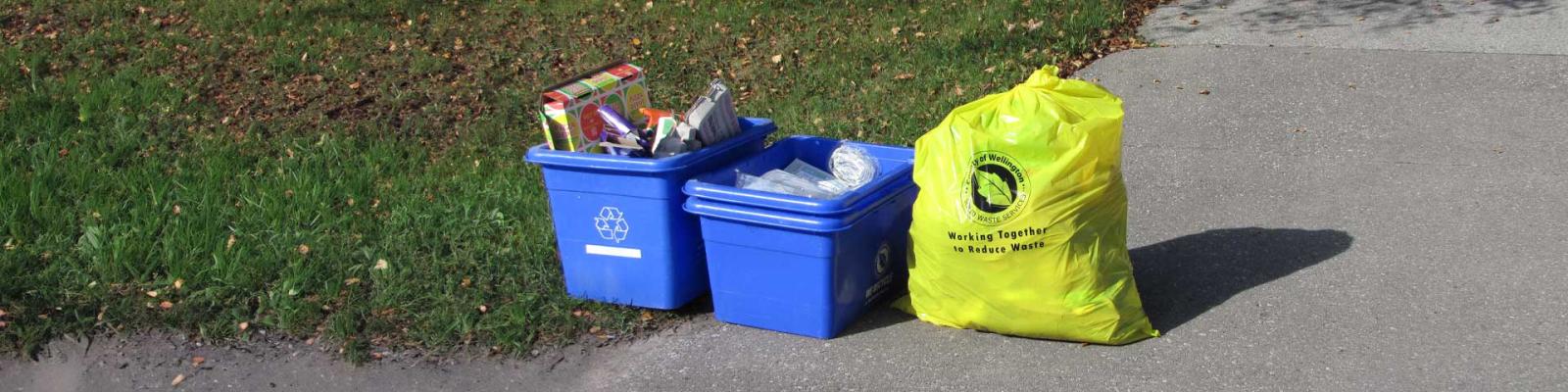 Two blue boxes and a yellow user pay bag sit at the curb