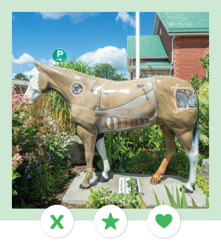 Mock dating profile image featuring a statue of 'Rosie' the horse in front of a flagpole, some greenery, buildings, and a blue sky. Three icons appear at the bottom of the image, next to a light green border.