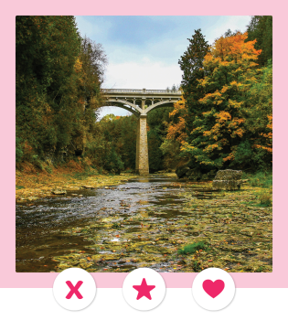 Mock dating profile image featuring a photograph of a tall bridge with waters running beneath it and large trees on either side. Three icons appear at the bottom of the image, next to a light pink border.