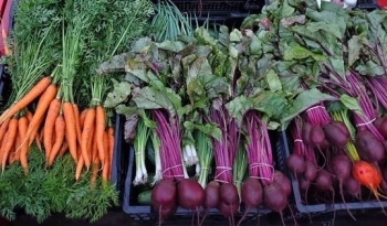 Hand wagon containing a variety of vegetables