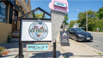Sign of 'Ed & Rosie's' Ice Cream sign featuring cartoon images of two dogs and a large pink ice cream cone with an 'open' sign. 