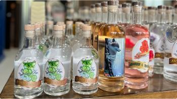 Photograph of a table full of Silver Fox gin bottles with colourful labels and different flavours. Text reads: My spirit animal is: Spirit animal? Or SPIRIT animal? Cause I am often guided by a Silver Fox or a Tipsy Fox, and they show up in all kinds of shapes and sizes... and award-winning craft gin flavours.