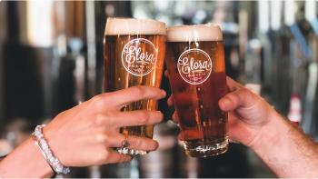 Two hands giving cheers with full mugs of beer featuring the Elora Brewing Company logo on them. 