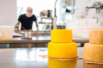 person standing behind cheese wheels