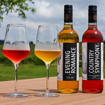 two wine glasses and bottles of fruit wine