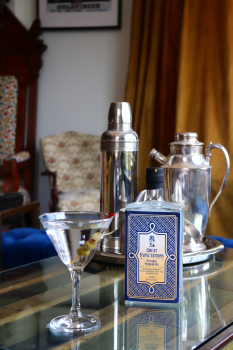 martini glass, spirits and shaker on a glass table
