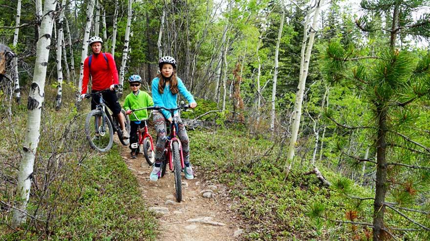 Father and two kids riding their bikes through a forest trail