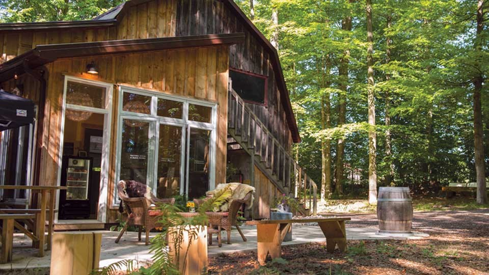 A wooden cabin surrounded by trees, with a patio and table.