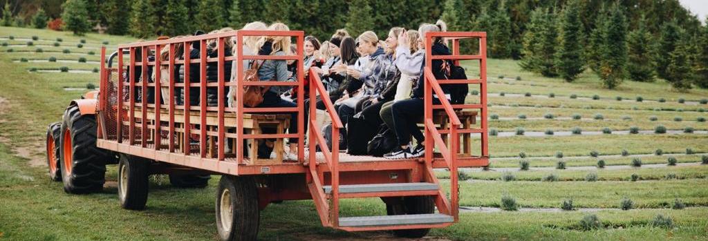 people on a wagon in a lavender field