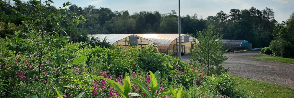 two greenhouses