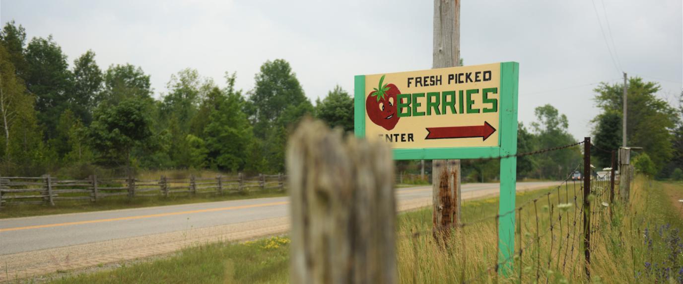 farm gate sign that says fresh berries