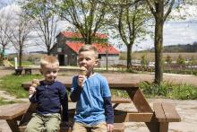 Two kids enjoying ice cream on a sunny day