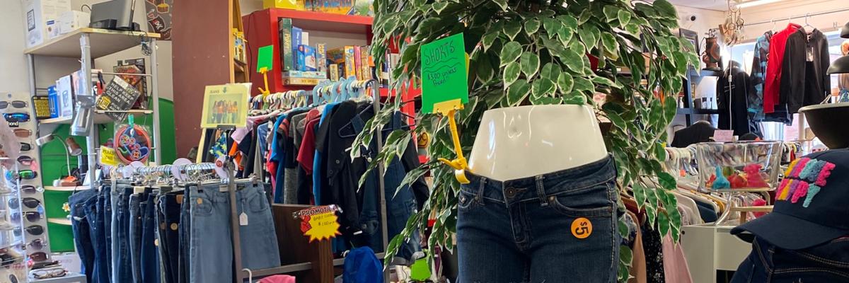 A torso mannequin with a plant-like top and jeans in a clothing store.